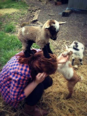 headgoat.jpg