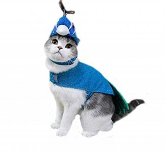 Blue Cat Costume.jpg