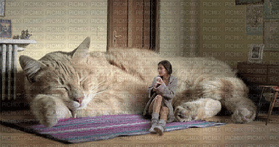 catcouch.gif