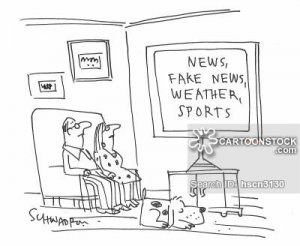 media-hscn3130_low.jpg