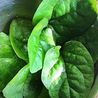 40B41956-F2C3-41EF-B2F8-814D17710527.jpeg 40B41956-F2C3-41EF-B2F8-814D17710527.jpeg