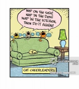 catcheer.jpg