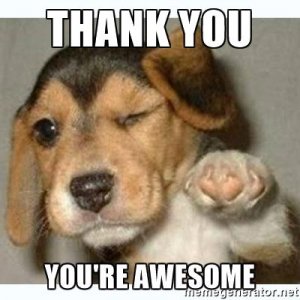 thank-you-meme-dog.jpg