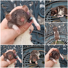 34102583_1713580745423532_6065168870551846912_n.png 34102583_1713580745423532_6065168870551846912_n.png