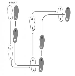 Dance Steps.jpg