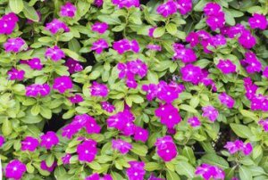B27E7165-1C9C-44C4-AA63-56F634961115.jpeg