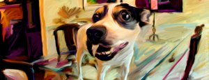 banner-dogs-that-i-know.jpg