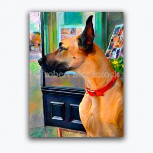 great-dane-lea-t.jpg