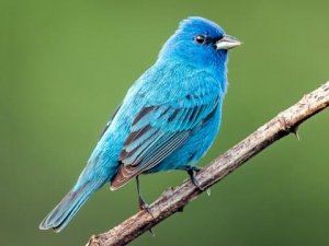 6559E613-C52A-41BC-9EAB-9329A1CDACBE.jpeg