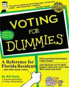 voting-for-dummies.jpg