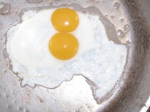 ESCBlog_PHOTO_DoubleYolk_Web-300x225.jpg ESCBlog_PHOTO_DoubleYolk_Web-300x225.jpg
