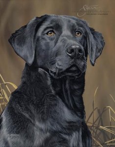 0f2bb8d37e2d65c335d1bd19018bee74--dog-paintings-animal-portraits.jpg