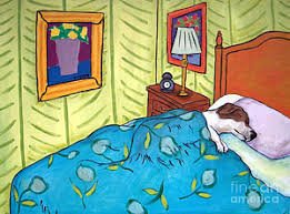 dog_Napping.jpg