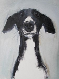 sally-muir1.jpg