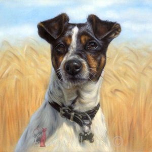danish-swedish-framdog-nikki1.jpg