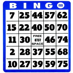 bingo.jpeg