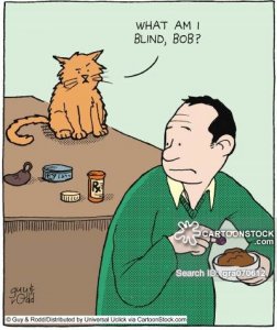 animals-medication-pill-drug-prescription-prescribed-gra070612_low.jpg