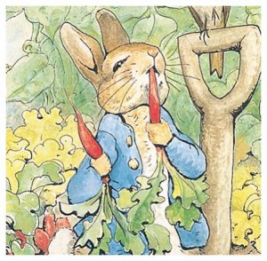 peter-rabbit-card.jpg