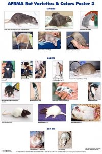 0244c13faa6b947fd321e8ced5e06bcc.jpg 0244c13faa6b947fd321e8ced5e06bcc.jpg