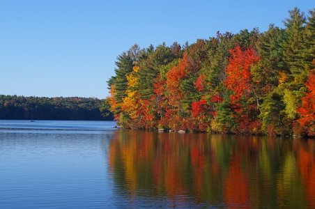 fall-4.jpg