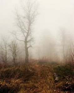 45d82668e9f0c703b9c64e34b38fea51.jpg