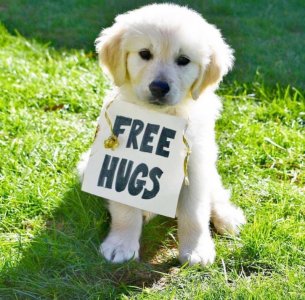 hugs dog.jpg