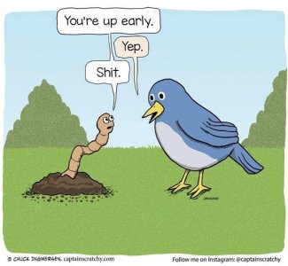 comic5.jpg