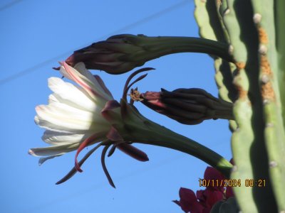 IMG_5442.JPG