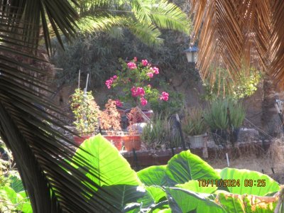 IMG_5450.JPG