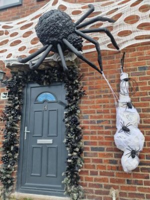 doorspider.jpg
