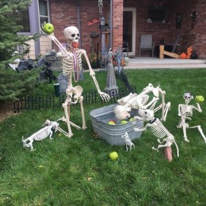 skeletonsbobbing.jpg