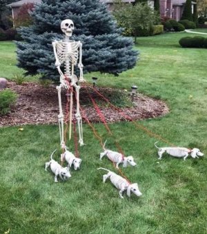 skeletonwalkingdogs.jpg
