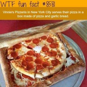 fun-facts-pizza-box-made-out-of-pizza-and-garlic-bread-wtf.jpg