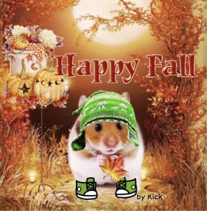 happy-fall-v0-bcky370bmcq91.jpg