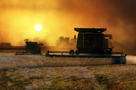 harvest-time2.jpg