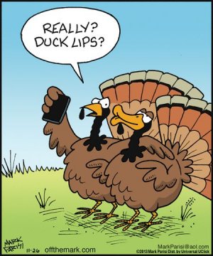 fbe93c2e7e4bf5294588ea293b5cb821--turkey-meme-funny-turkey.jpg