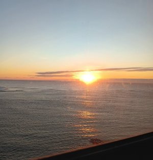 20241008_070738.jpg