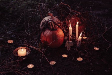 pumpkin-2594747_1280.jpg