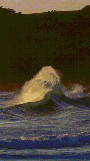 tumblr_faa69c2ba51f4b43829034263044b18c_750a7a47_500.gif.gif