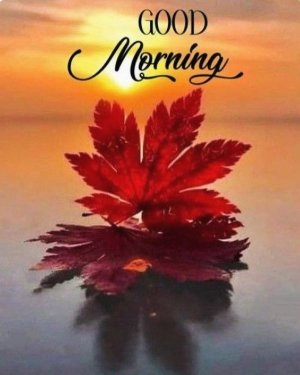 55be98801fcdcd84ed3469b2ec8d9b5e[1].jpg