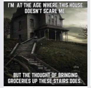 senior9.jpg