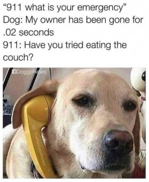 1000005699.jpg