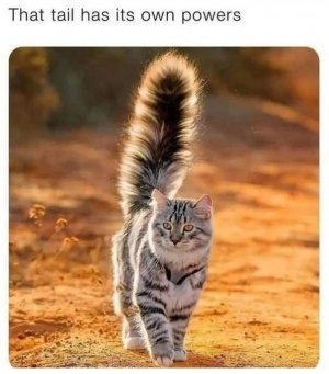 1000005729.jpg