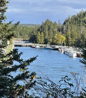IMG_6422.jpeg
