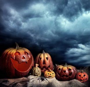 halloween-pumpkins.jpg