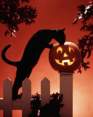 1980s-jack-o-lantern--black-cat-vintage-images.jpg