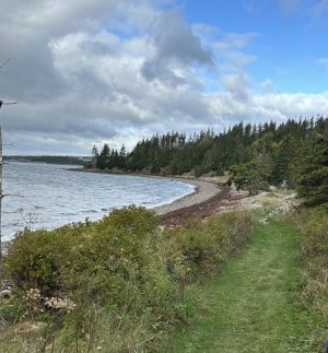 IMG_6418.jpeg