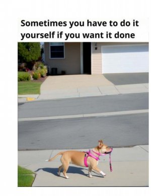1728865211960.jpeg