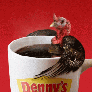 turkey in coffeecup.gif turkey in coffeecup.gif