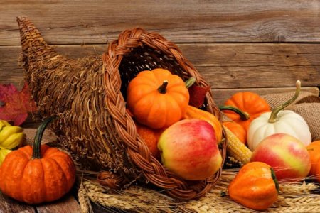 fall-cornucopia-zovibzs2lwp8tj9m.jpg